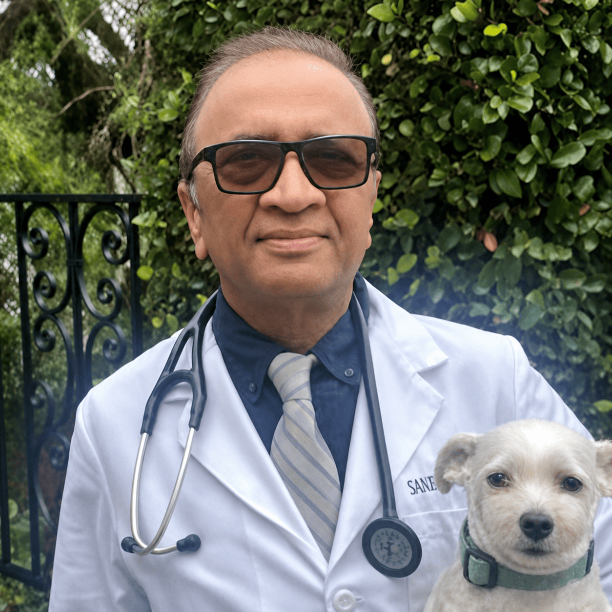 dr sanjeev kumar